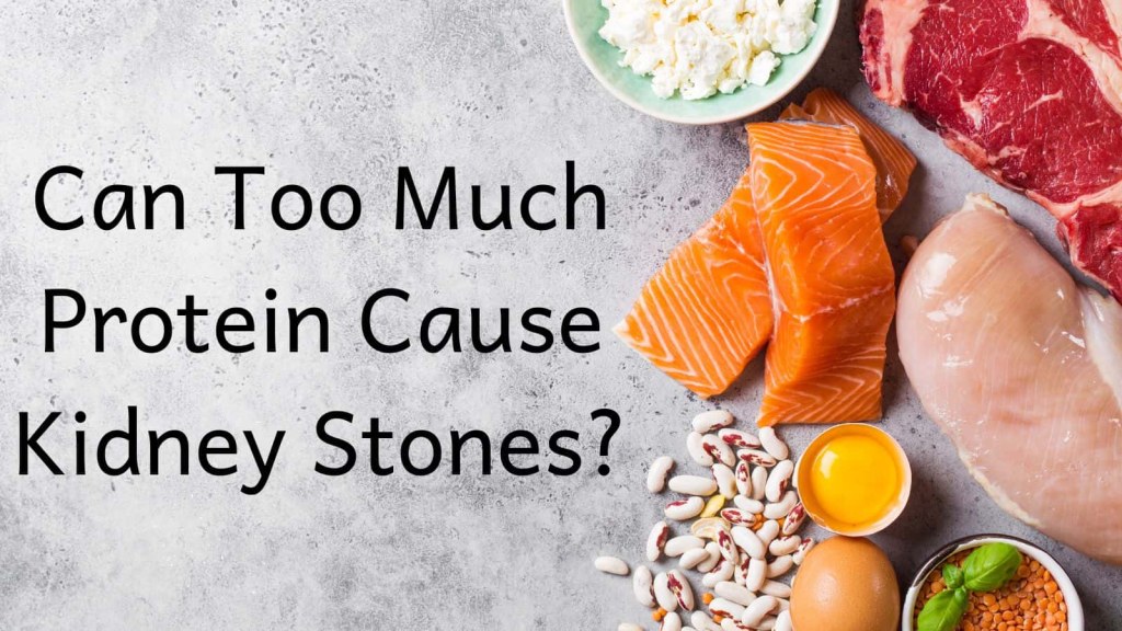 Picture of: Can Too Much Protein Cause Kidney Stones? – The Kidney Dietitian